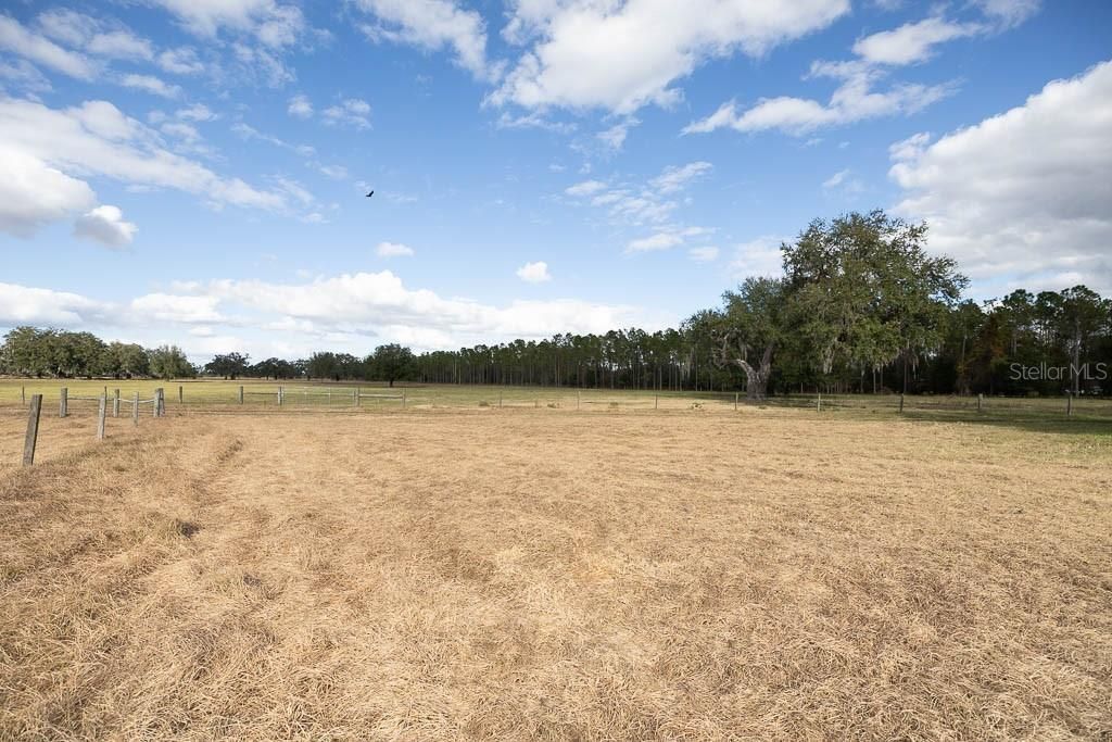 993 Cr 722, Webster, FL 33597 Photo