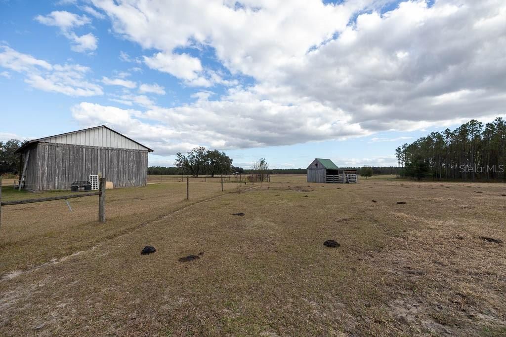 993 Cr 722, Webster, FL 33597 Photo