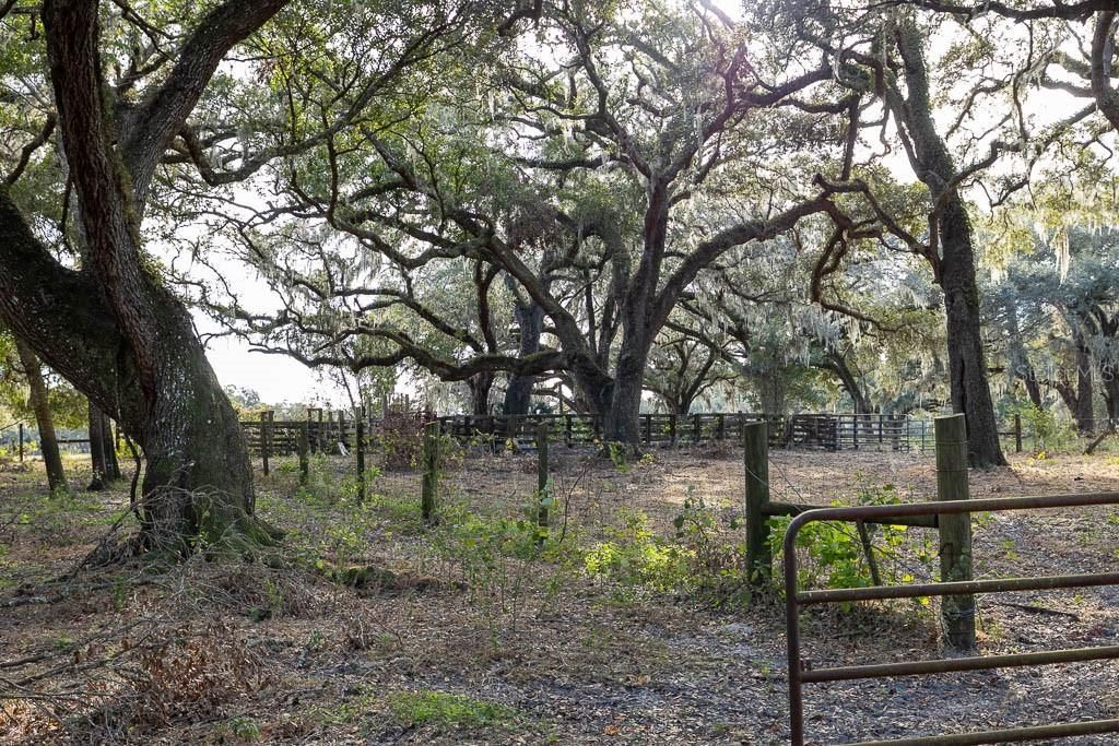 993 Cr 722, Webster, FL 33597 Photo