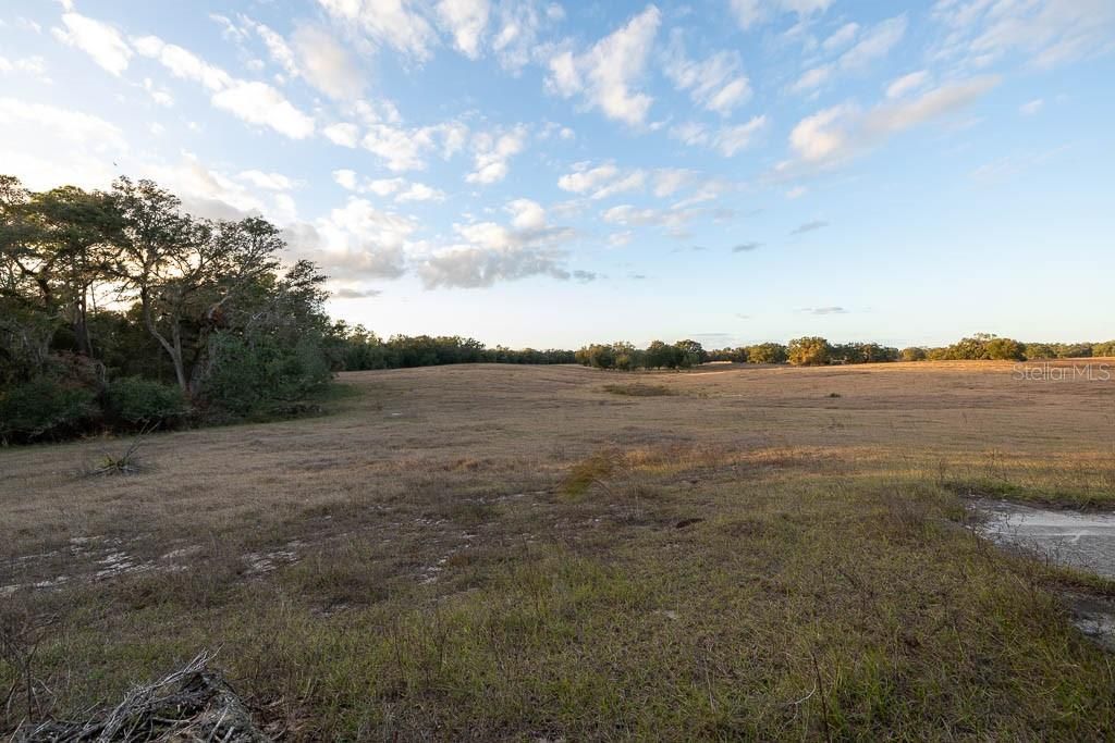 993 Cr 722, Webster, FL 33597 Photo