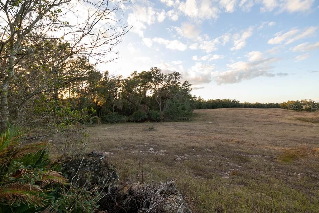 993 Cr 722, Webster, FL 33597 Photo