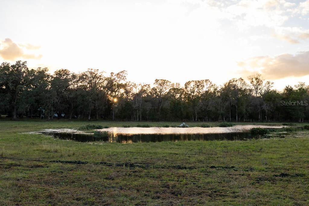 993 Cr 722, Webster, FL 33597 Photo