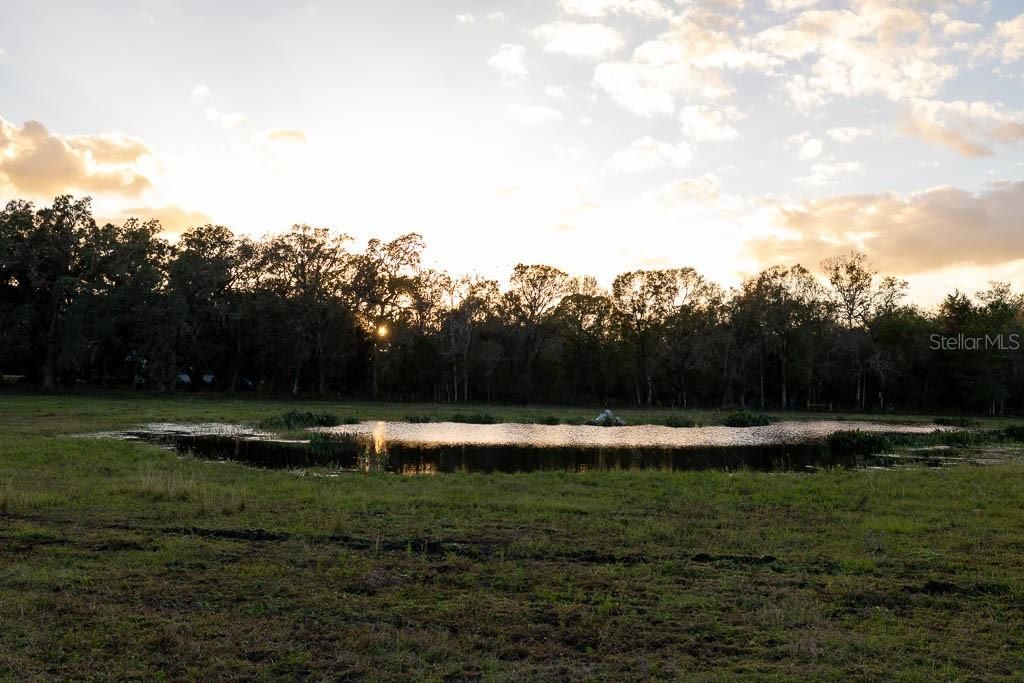 993 Cr 722, Webster, FL 33597 Photo