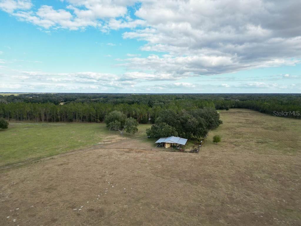 993 Cr 722, Webster, FL 33597 Photo