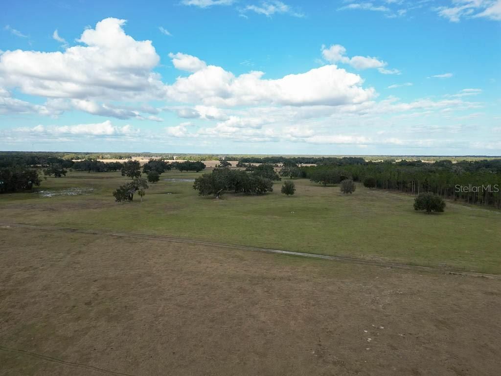 993 Cr 722, Webster, FL 33597 Photo