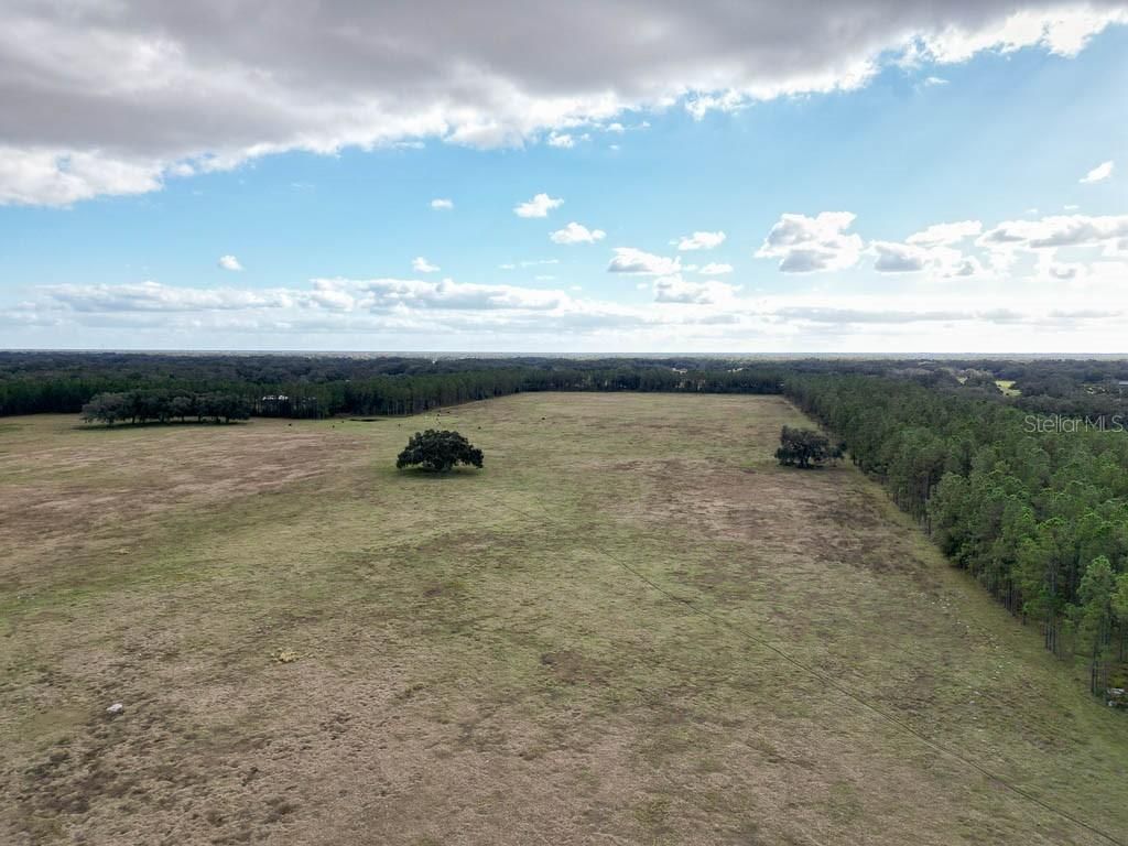 993 Cr 722, Webster, FL 33597 Photo