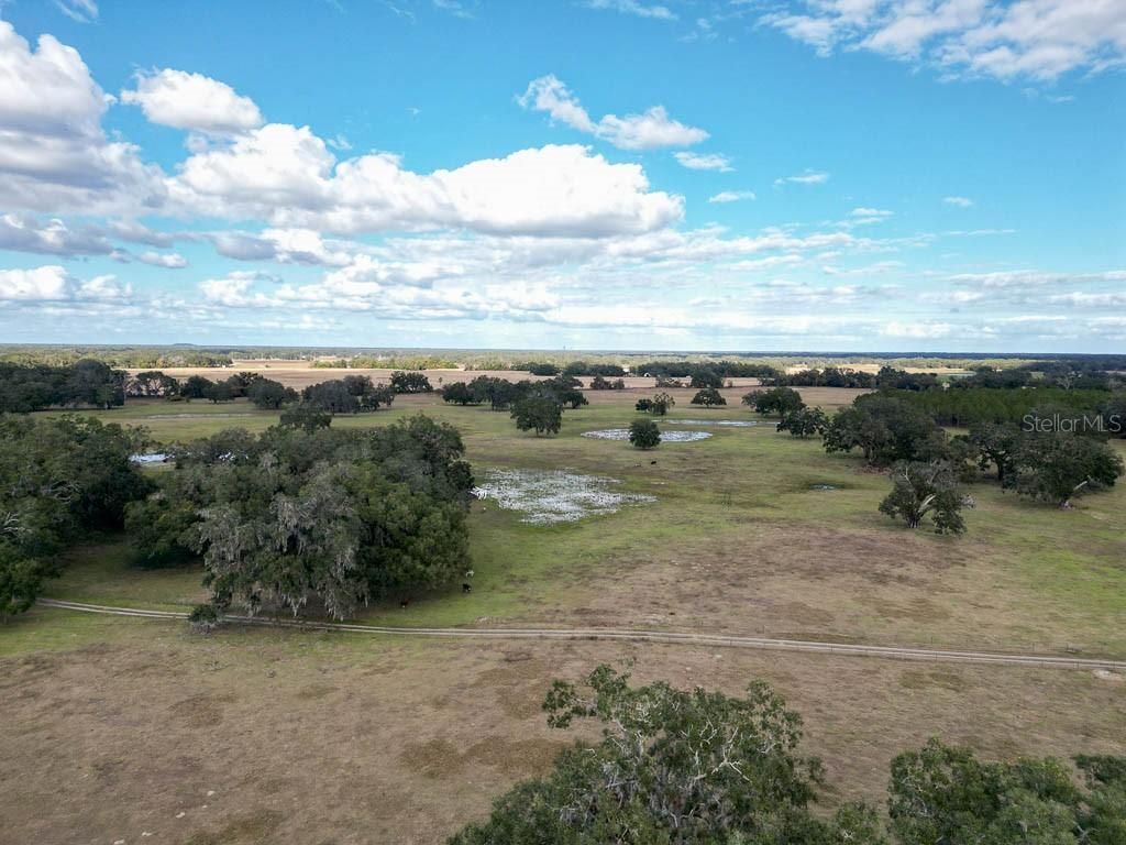 993 Cr 722, Webster, FL 33597 Photo