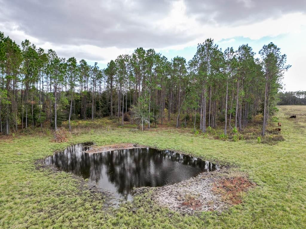 993 Cr 722, Webster, FL 33597 Photo