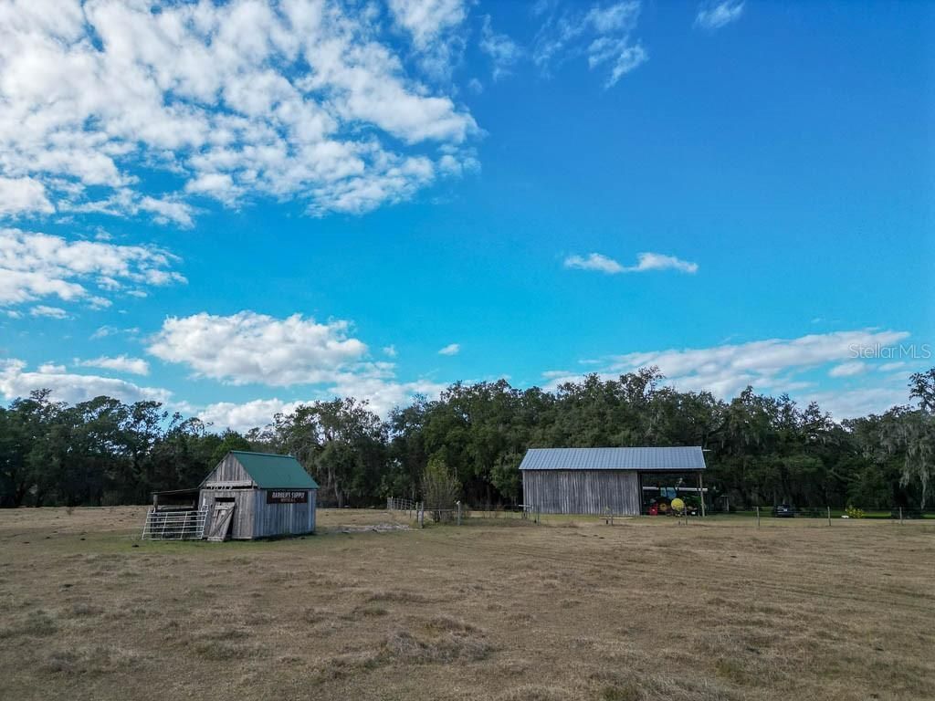 993 Cr 722, Webster, FL 33597 Photo