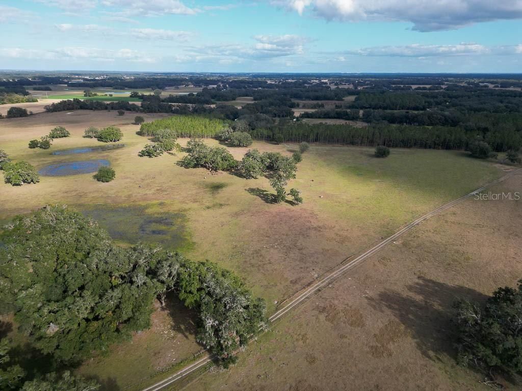 993 Cr 722, Webster, FL 33597 Photo