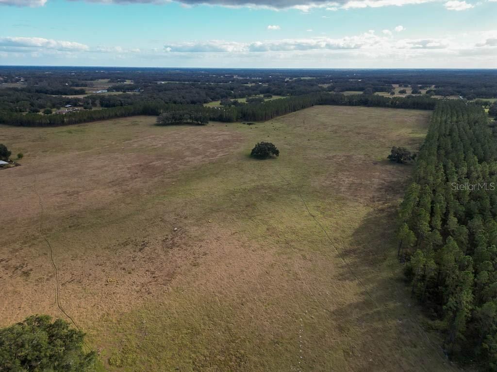 993 Cr 722, Webster, FL 33597 Photo