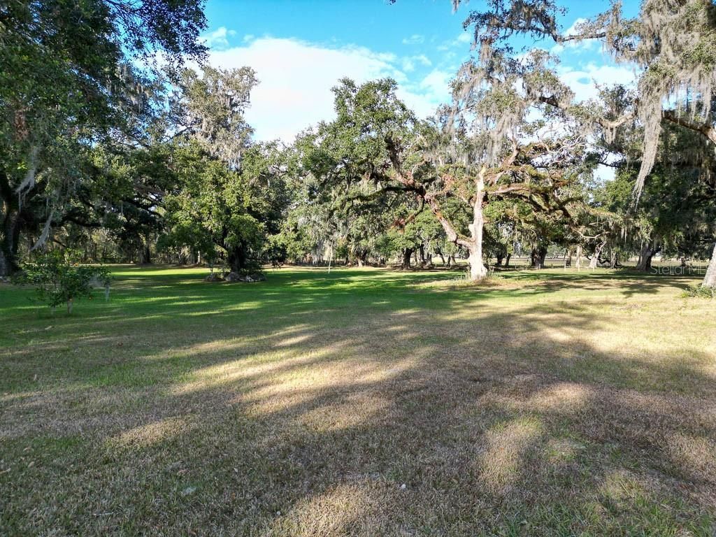 993 Cr 722, Webster, FL 33597 Photo