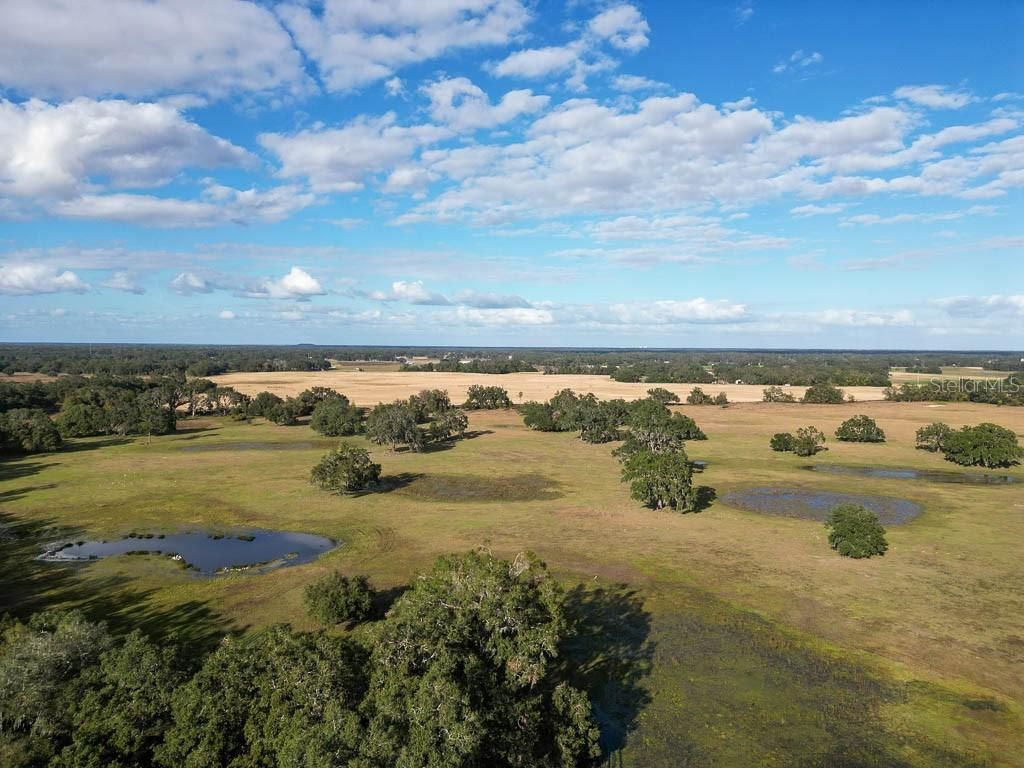 993 Cr 722, Webster, FL 33597 Photo