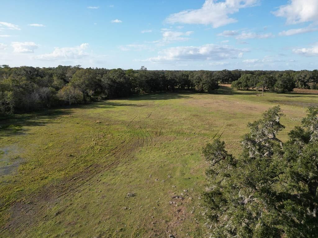 993 Cr 722, Webster, FL 33597 Photo