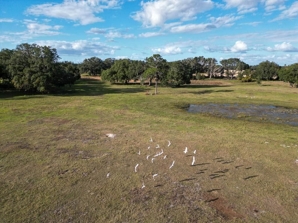 993 Cr 722, Webster, FL 33597 Photo