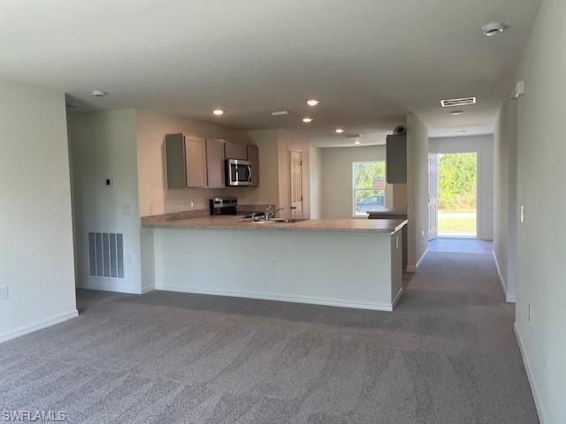 3732 NE 15th Pl, Cape Coral, FL 33909 Photo