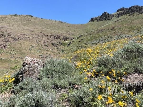 TBD NE Syrup Creek Rd., Mountain Home, ID 83647