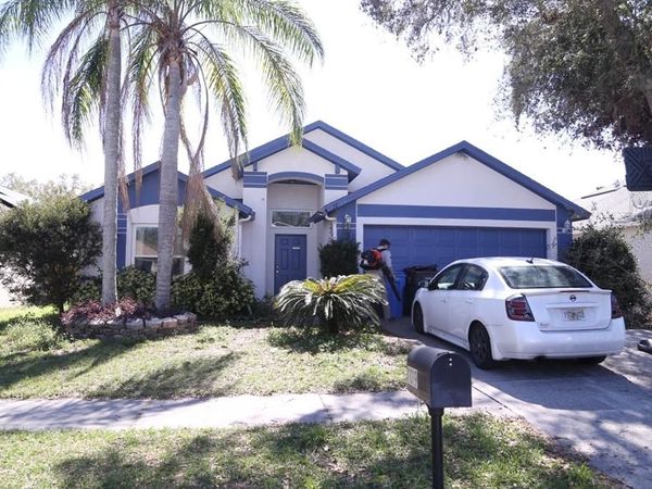 11019 CONNACHT WAY, TAMPA, FL 33610