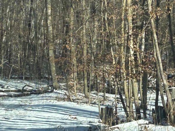 xxx Birchcurve Road, Randall, MN 56475