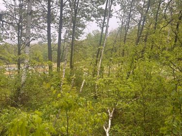 xxx Cardinal Trail, Randall, MN 56475