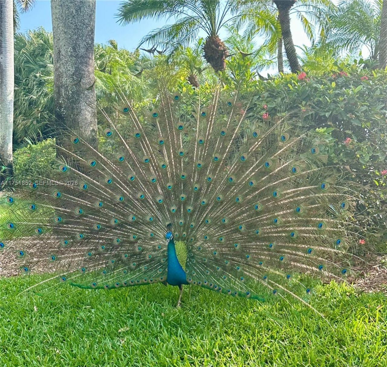 13633 Deering Bay Dr, Unit 256, Coral Gables, FL 33158 Photo