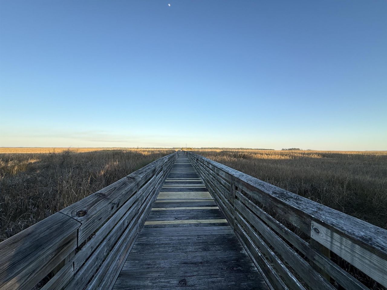 159 Commanders Island Rd. Photo 4