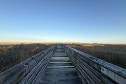 159 Commanders Island Rd. photo 4