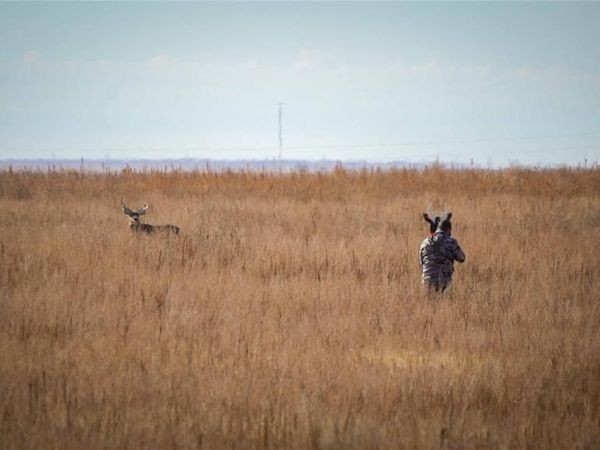 Mile 51 Road, Hooker, OK 73945