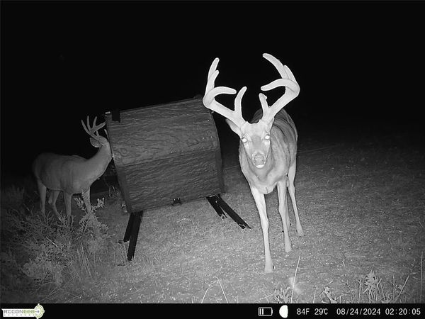 Mile 51 Road, Hooker, OK 73945