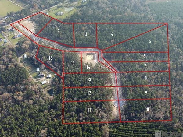 18292 Settlement Trace, Livingston, LA 70754