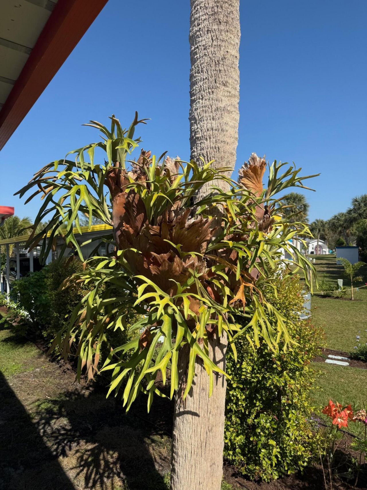 4743 NE Blue Heron Lane, Unit 7, Jensen Beach, FL 34957 Photo