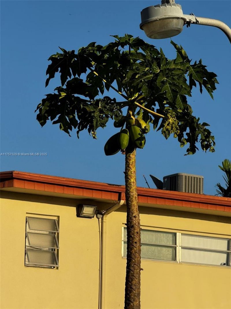 1601 NE Miami Gardens Dr, Unit 103, Miami, FL 33179 Photo