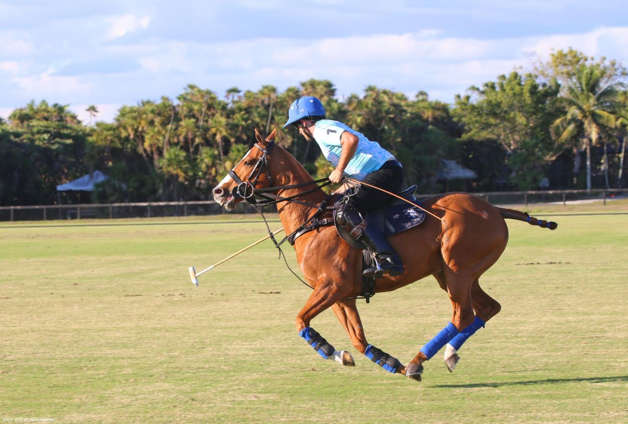 12940 50th Street S, Wellington, FL 33449 Photo