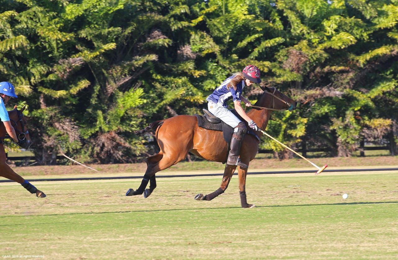 12940 50th Street S, Wellington, FL 33449 Photo