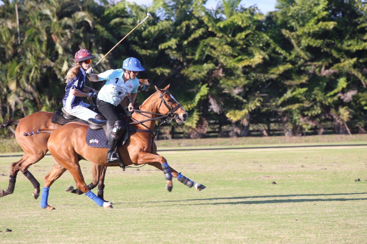 12940 50th Street S, Wellington, FL 33449 Photo