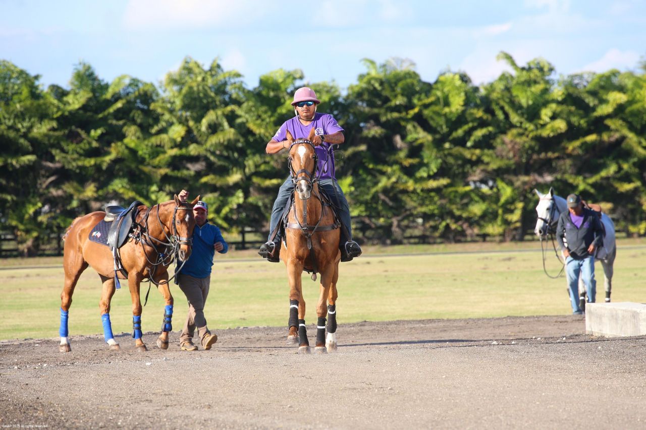 12940 50th Street S, Wellington, FL 33449 Photo