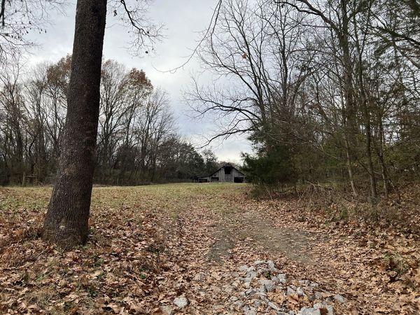 2 Pyles Rd, Chapel Hill, TN 37034