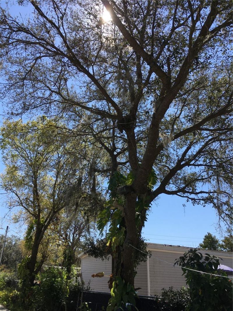 539 Libby Road, Babson Park, FL 33827 Photo