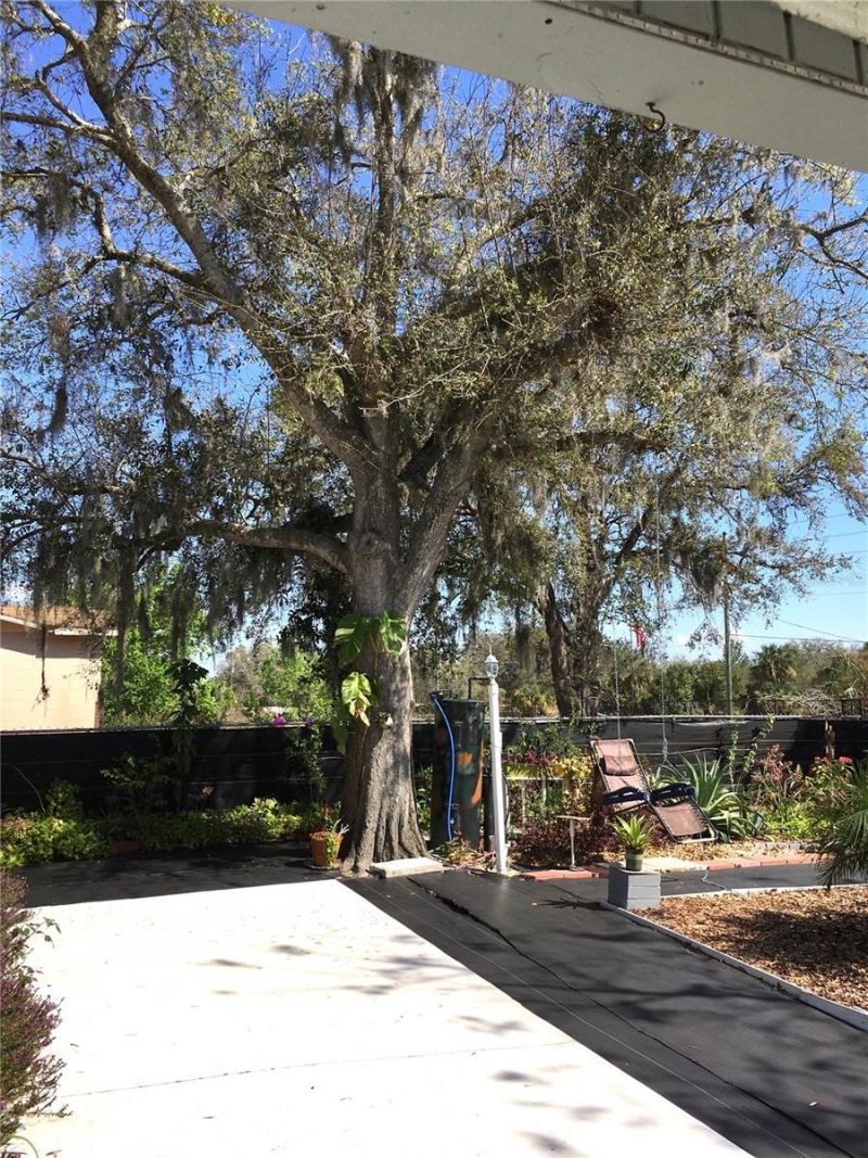 539 Libby Road, Babson Park, FL 33827 Photo