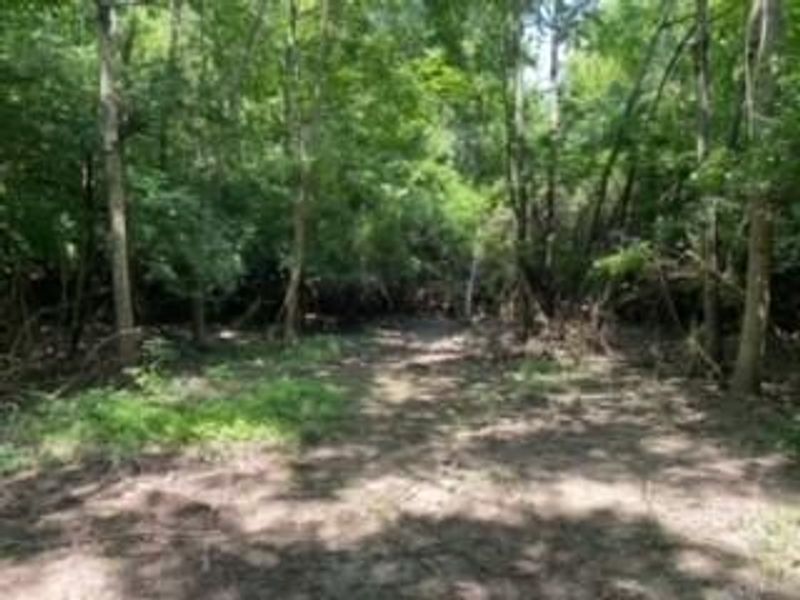 1111 Bull Road, Jackson Township, OH 45345 Photo 5