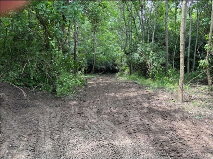 Property Image 7