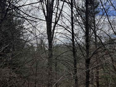 TBd COLD SPRINGS RD, RAPHINE, VA 24472