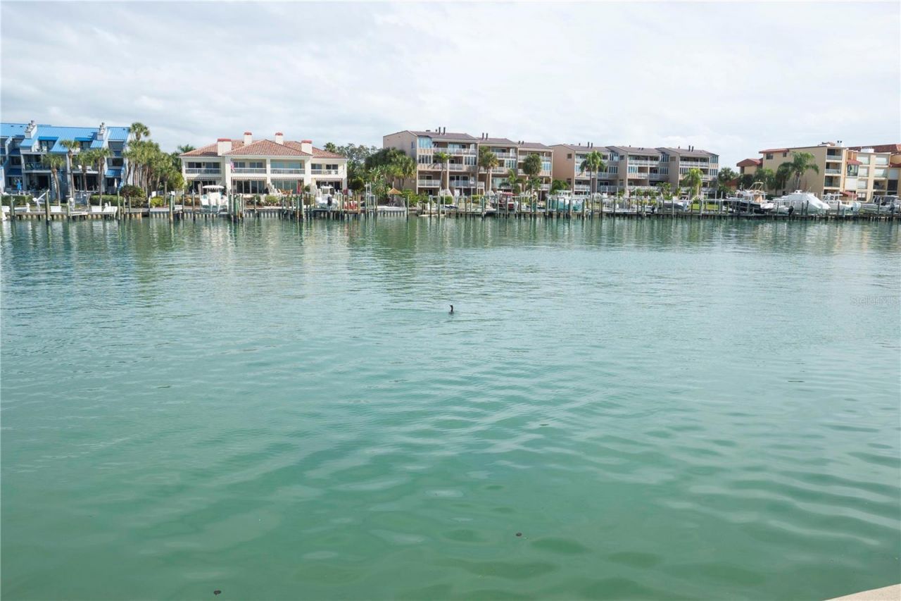 Galeon Drive, Tierra Verde, FL 33715 Photo