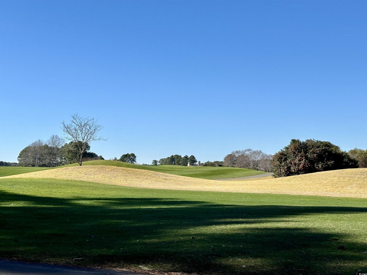 5000 Windsor Green Way Photo 20