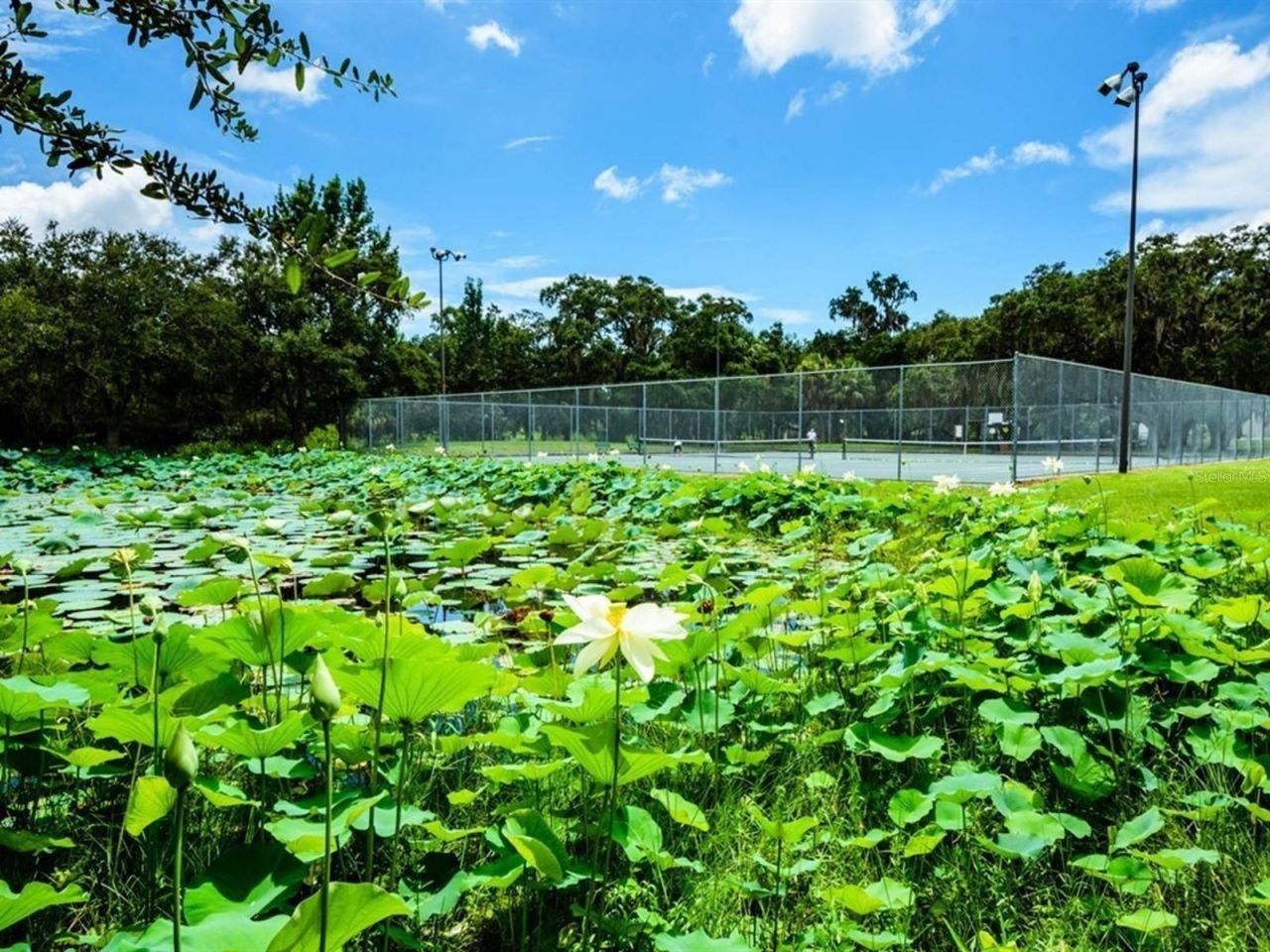 1471 Arcadia Avenue, Sarasota, FL 34232 Photo