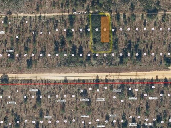 TBD BANYAN STREET, INTERLACHEN, FL 32148