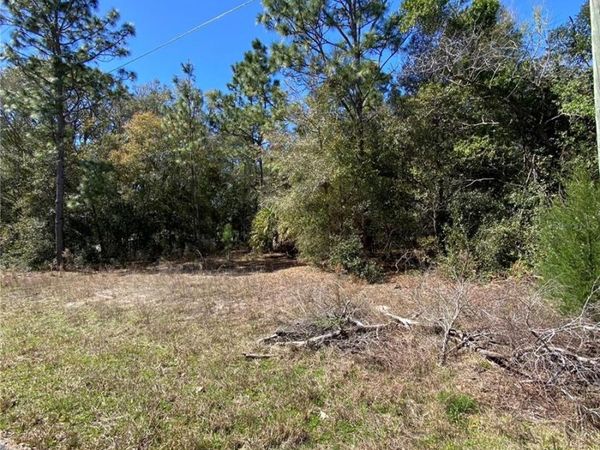 8630 N CATAPANE LOOP, CRYSTAL RIVER, FL 34428