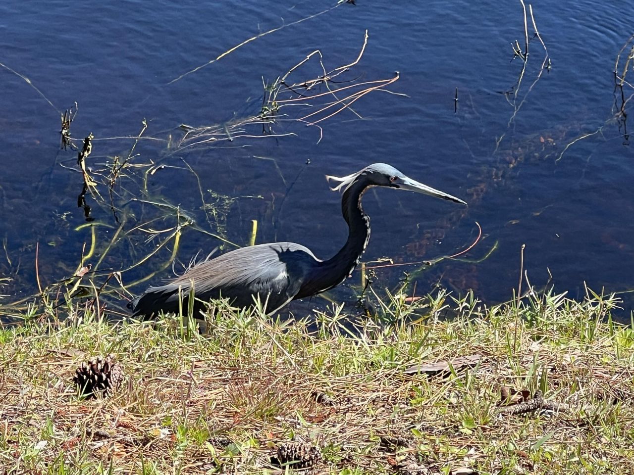 4310 Gator Trace Circle, Fort Pierce, FL 34982 Photo