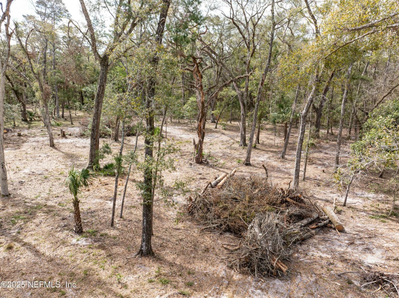 0 65th Place A, Branford, FL 32008 Photo