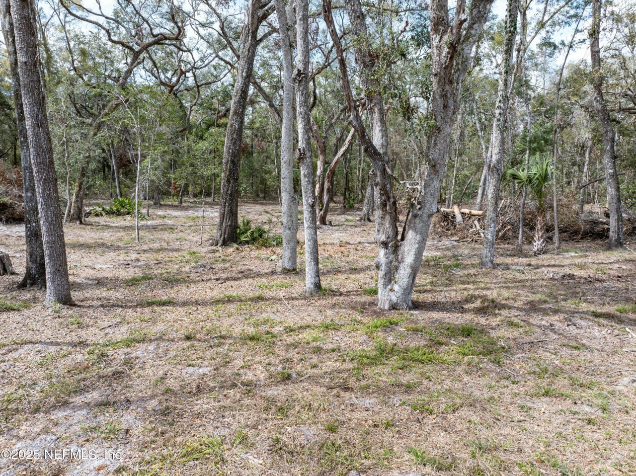 0 65th Place A, Branford, FL 32008 Photo